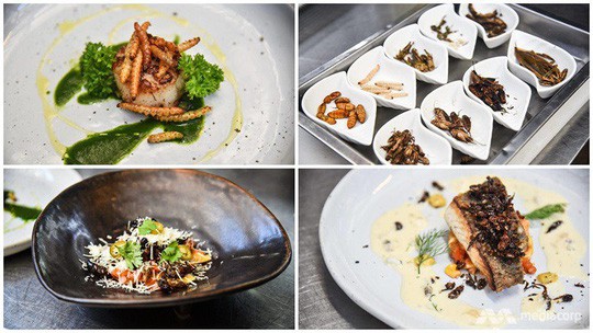 Côn trùng được phục vụ tại khách sạn 5 sao như đặc sản-7