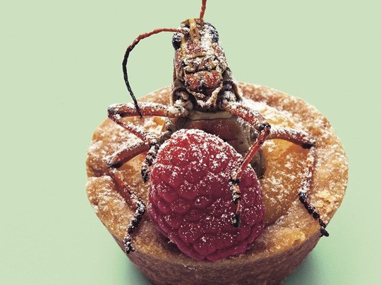 Côn trùng được phục vụ tại khách sạn 5 sao như đặc sản-10