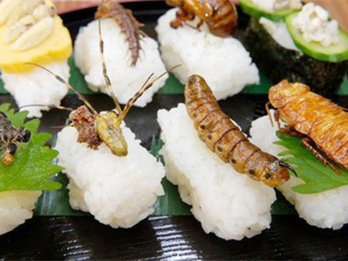 Loạt ảnh chứng tỏ cuộc sống ở Hàn Quốc không như mơ, ít nhất là về khoản ăn uống-8