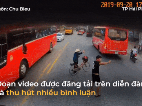 Tài xế Hải Phòng dừng xe để giúp cụ bà qua đường