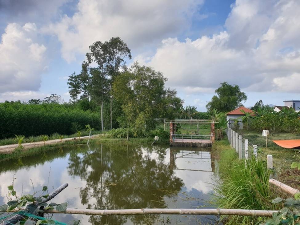 Con cái chung tay xây cho cha mẹ già ngôi nhà như chiếc diều quê nổi danh báo Mỹ-9