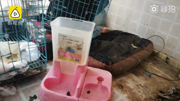 Hot girl mạng có cả triệu người follow bị chủ nhà bóc mẽ ở bẩn, rác chất thành núi, đến lúc đòi tiền nhà thì ‘mất tích’-5