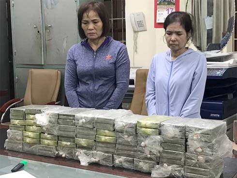 Hot girl lừa đảo hơn 160 tỷ đồng ra đầu thú-2