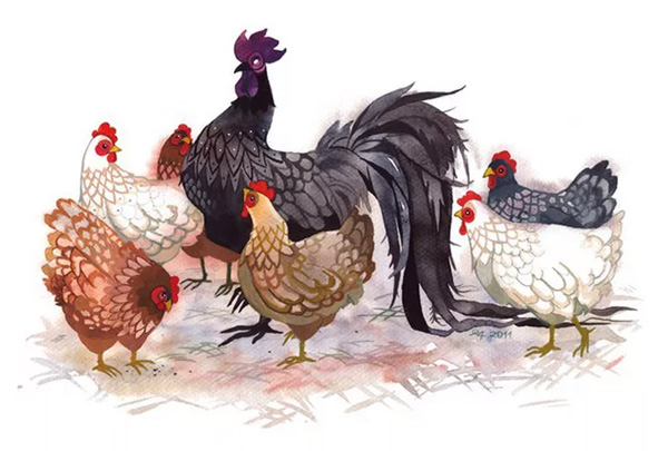 Tuần 4 tháng 9, 3 con giáp đổi vận bứt phá ngoạn mục, may mắn hơn người-2