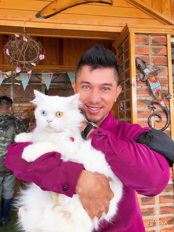 5 màn dao kéo gây sốc nhất lịch sử Vbiz: Người U40 thay đổi đến khó nhận ra, kẻ tự phá danh hiệu mỹ nhân!-3