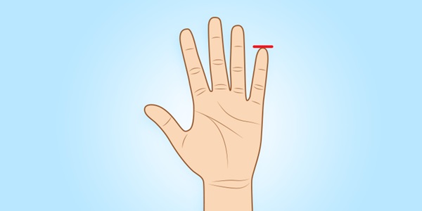 Người sở hữu ngón tay út này thường có tố chất của một nhà lãnh đạo xuất chúng-3