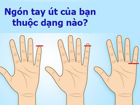 Người sở hữu ngón tay út này thường có tố chất của một nhà lãnh đạo xuất chúng