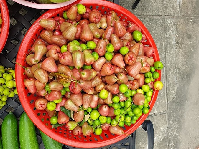 Sao Việt và cuộc sống trồng rau nuôi gà” ở những nông trại tiền tỷ-15