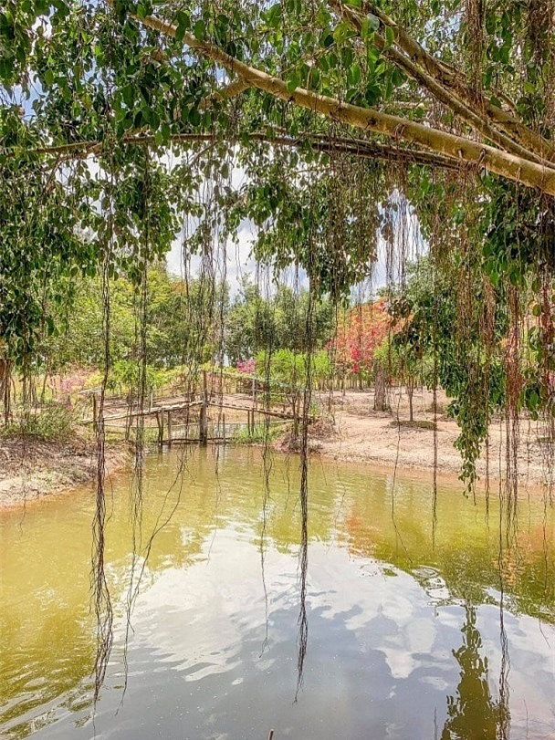 Sao Việt và cuộc sống trồng rau nuôi gà” ở những nông trại tiền tỷ-11