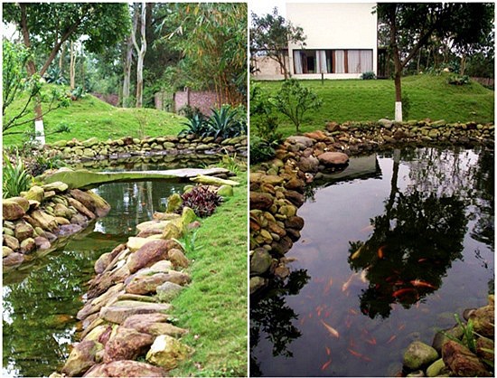 Sao Việt và cuộc sống trồng rau nuôi gà” ở những nông trại tiền tỷ-24