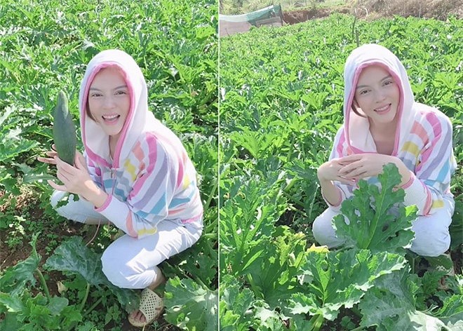 Sao Việt và cuộc sống trồng rau nuôi gà” ở những nông trại tiền tỷ-2