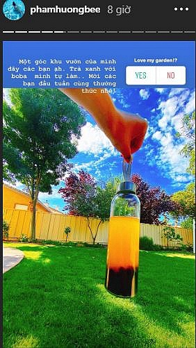 Hé lộ không gian vườn nhà của Hoa hậu Phạm Hương tại Mỹ-4