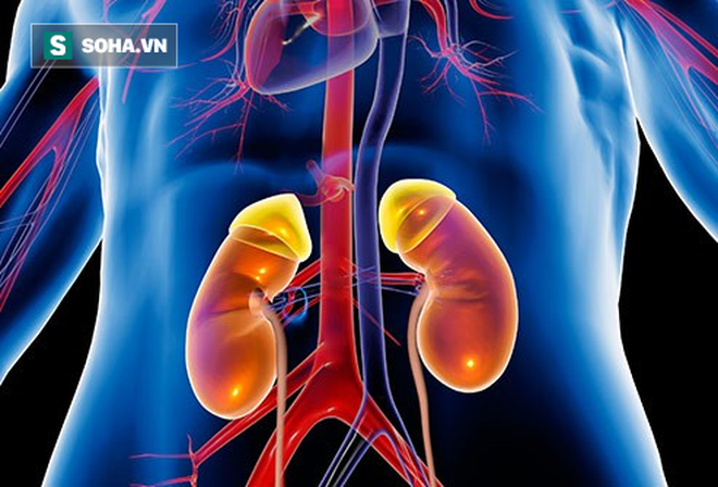 Tiến sĩ Nam khoa cảnh báo: 3 thói quen uống nước phá hỏng thận, rất nhiều người mắc-2