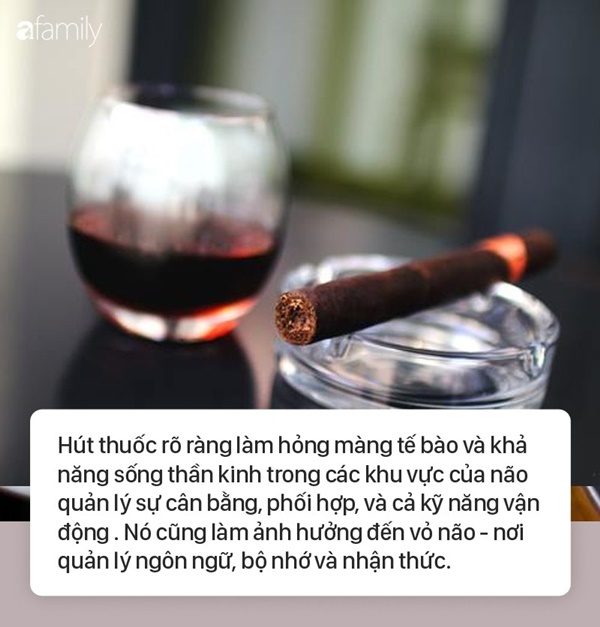 7 thói quen gây tổn thương não nghiêm trọng con người cần dừng ngay lập tức-5