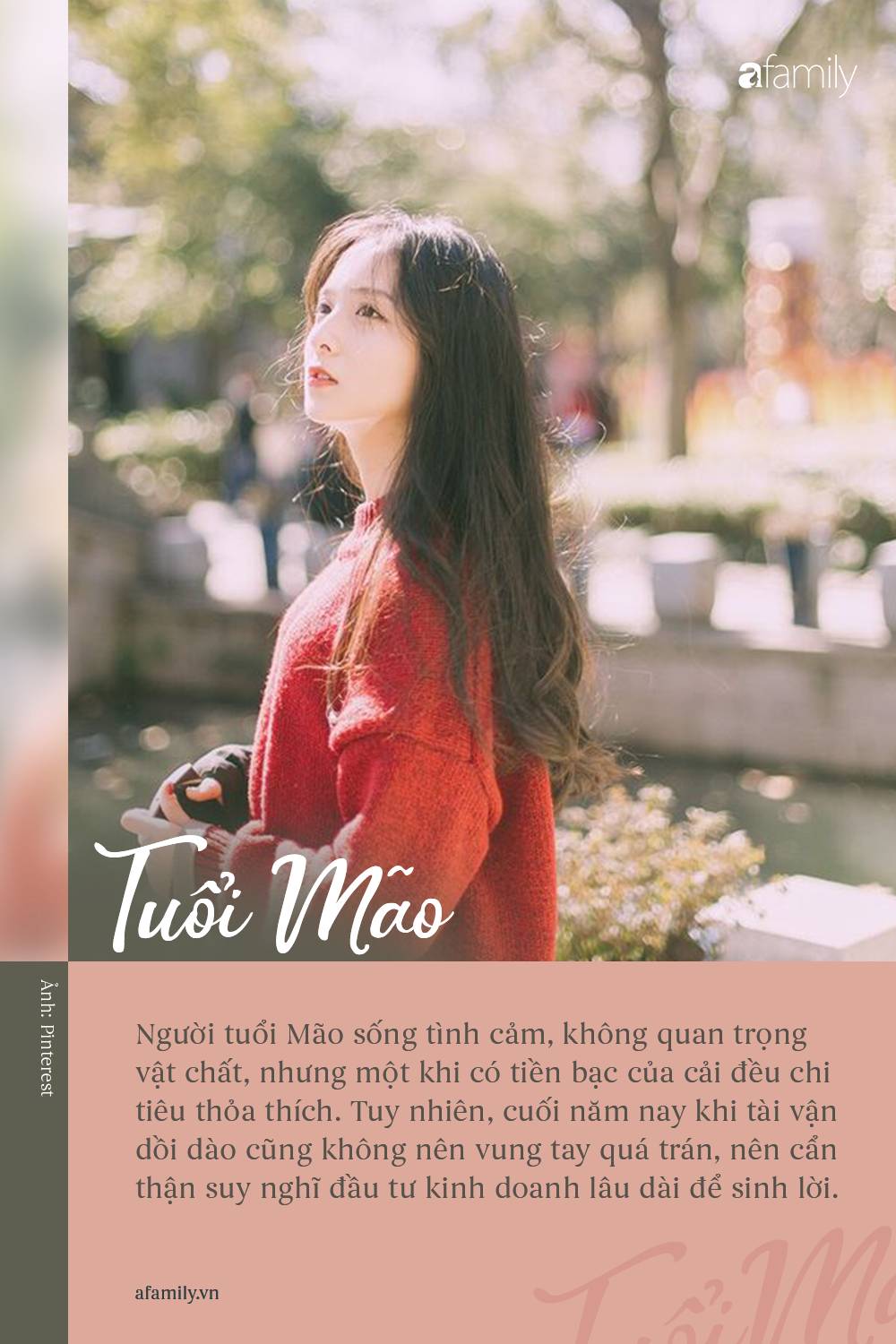 Vài tháng nữa hết năm, 12 con giáp cần làm một số việc để củng cố tài vận, đầu năm 2020 sẽ tận hưởng cuộc sống viên mãn đủ đầy-4