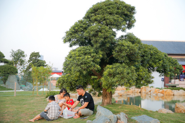 Sau 10 ngày ra mắt, vườn Nhật giữa Thủ đô vẫn nườm nượp khách ‘sống ảo’-6