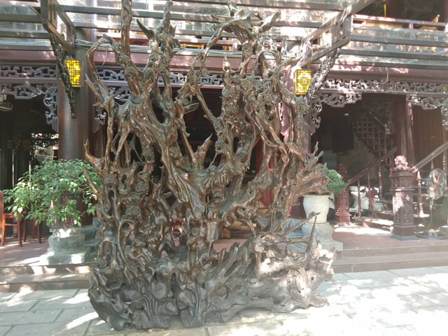Bộ rễ gỗ trai tiền tỷ tuyệt đẹp của ông chủ thầu Hà Tĩnh-1