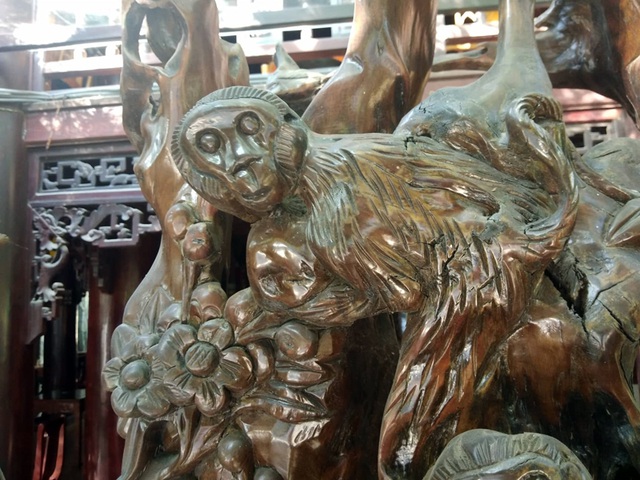 Bộ rễ gỗ trai tiền tỷ tuyệt đẹp của ông chủ thầu Hà Tĩnh-3