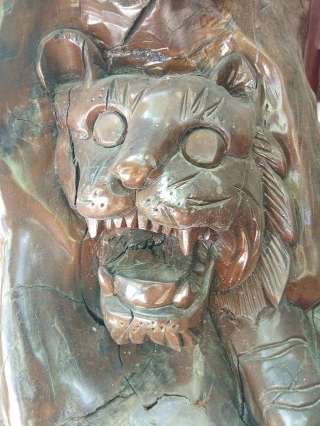 Bộ rễ gỗ trai tiền tỷ tuyệt đẹp của ông chủ thầu Hà Tĩnh-4