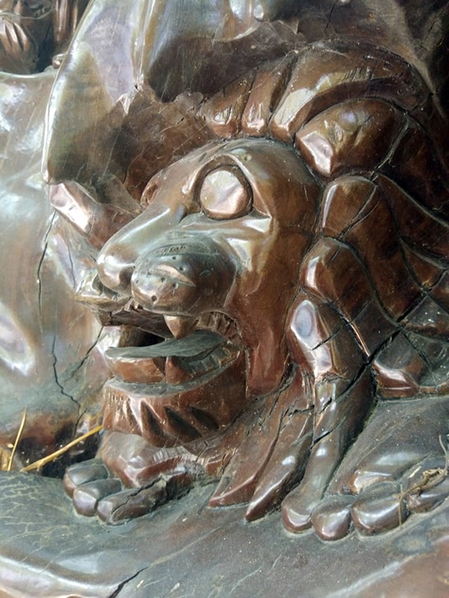 Bộ rễ gỗ trai tiền tỷ tuyệt đẹp của ông chủ thầu Hà Tĩnh-5