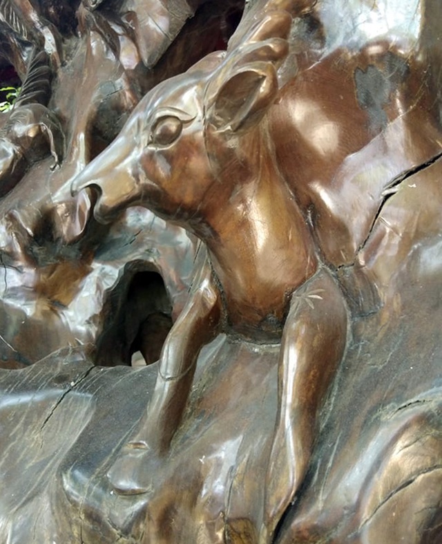 Bộ rễ gỗ trai tiền tỷ tuyệt đẹp của ông chủ thầu Hà Tĩnh-8