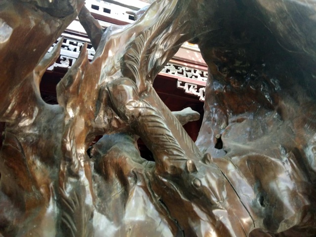 Bộ rễ gỗ trai tiền tỷ tuyệt đẹp của ông chủ thầu Hà Tĩnh-9