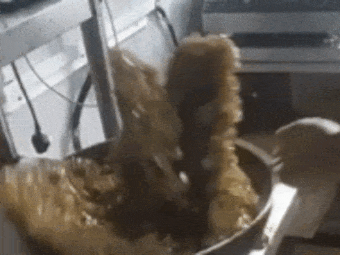 Bậc thầy Kung Fu dùng tay không đóng đinh vào gỗ-1