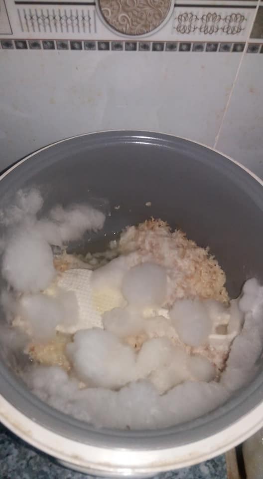Nấu nướng xong quên rửa, chàng trai để nồi cơm điện bốc mùi, nấm mốc như bông nhưng lý do phía sau mới ngỡ ngàng-3
