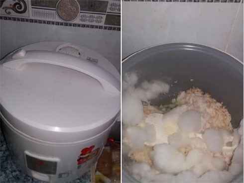 Nấu nướng xong quên rửa, chàng trai để nồi cơm điện bốc mùi, nấm mốc như bông nhưng lý do phía sau mới ngỡ ngàng