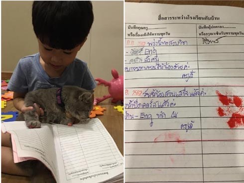 Không dám đưa sổ liên lạc cho bố mẹ, cậu bé tìm