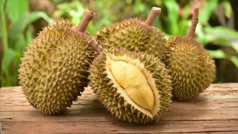 Quả sầu riêng trị giá 1,1 tỷ, có tiền chưa chắc đã được ăn-2