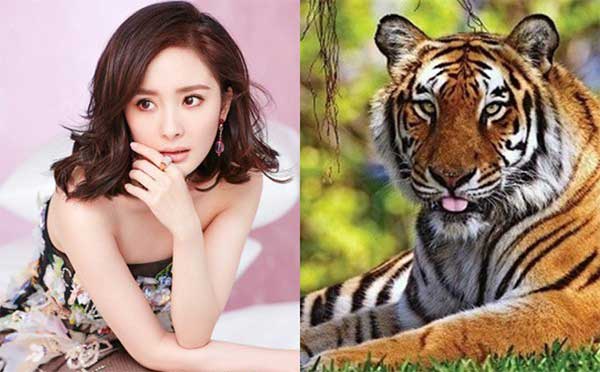 3 con giáp may mắn được Thần Tài nhận đỡ đầu nên hút cạn tài lộc trong thiên hạ 5 ngày tới-1