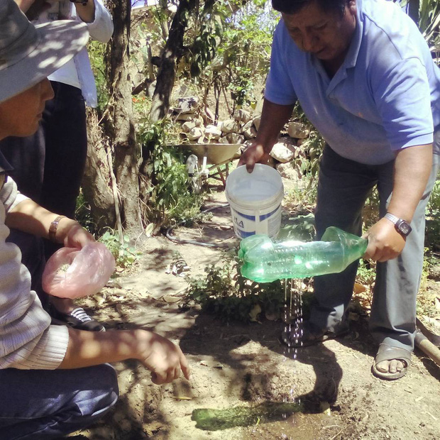 Bỏ túi 15 cách tái sử dụng siêu đơn giản giúp hô biến chai nhựa bỏ đi thành những vật dụng hữu ích-15