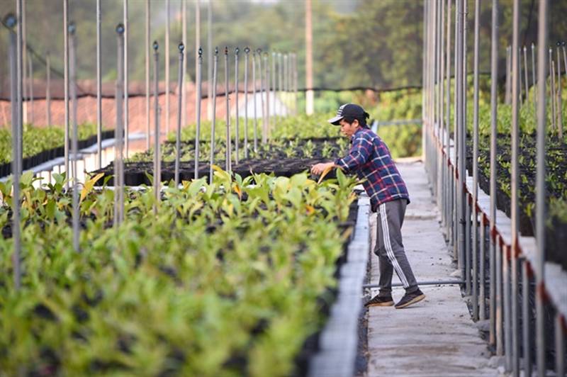 Đột nhập vườn lan rộng 2ha cả trăm loại vạn người mê ở Hòa Bình-8