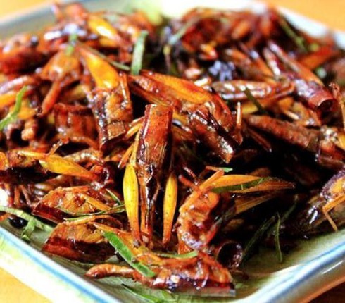 Châu chấu thành đặc sản, chị em Hà thành đổ xô mua làm món nhậu chiều chồng-2