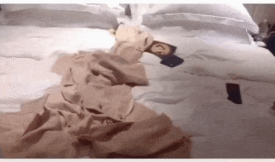 Đi du học, cô con gái hở hàm ếch của Vương Phi đã bắt kịp lối sống sành điệu tại trời Tây chẳng kém lúc ở nhà-4