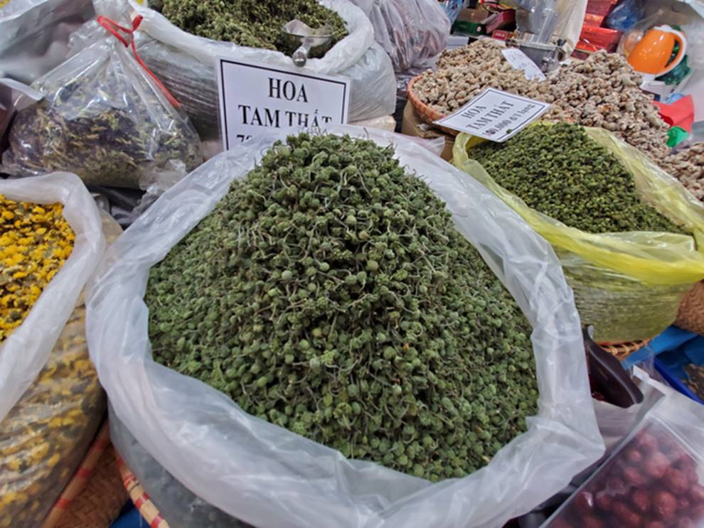 Hoa tam thất hàng hiếm rao giá bạc triệu vẫn được săn đón-1