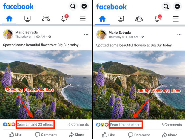 Hình ảnh đầu tiên về Facebook bỏ hiển thị số Like: Không còn khoe mẽ, chỉ hiện vài cái tên trơ trọi-1