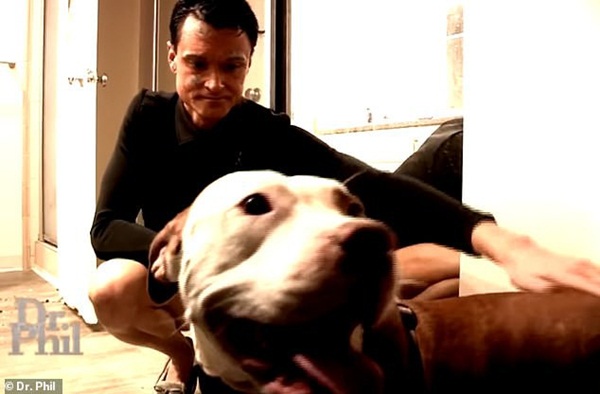 Gã trai đổi tên thành Người ăn chay Quyến rũ bị bắt vì tấn công tình dục chó pitbull của mình rồi đăng video lên MXH-2