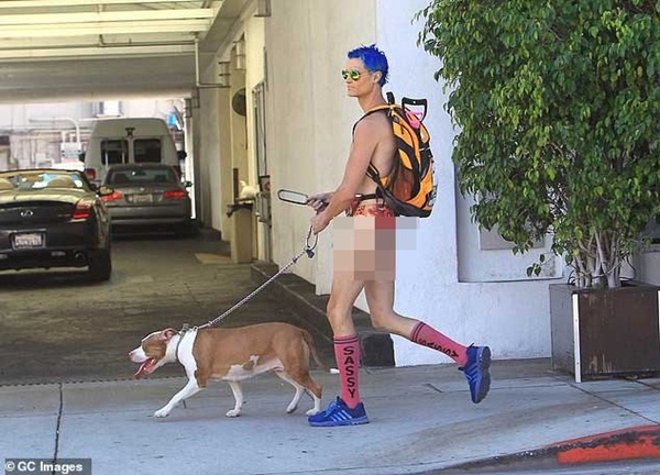 Gã trai đổi tên thành Người ăn chay Quyến rũ bị bắt vì tấn công tình dục chó pitbull của mình rồi đăng video lên MXH-3