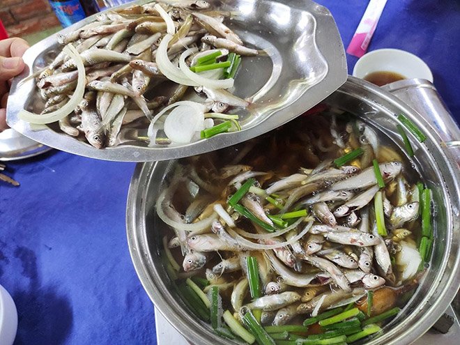 Về miền Tây mùa nước nổi thưởng thức loại hoa vàng rực vừa giòn lại ngọt bùi-3