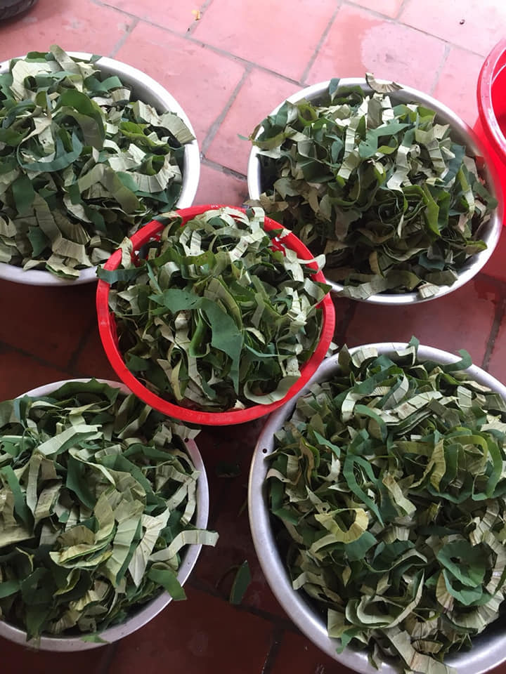 Loại lá mọc tràn ao bùn Việt Nam, 400 ngàn/kg, chị em ưa dùng để giữ eo-2