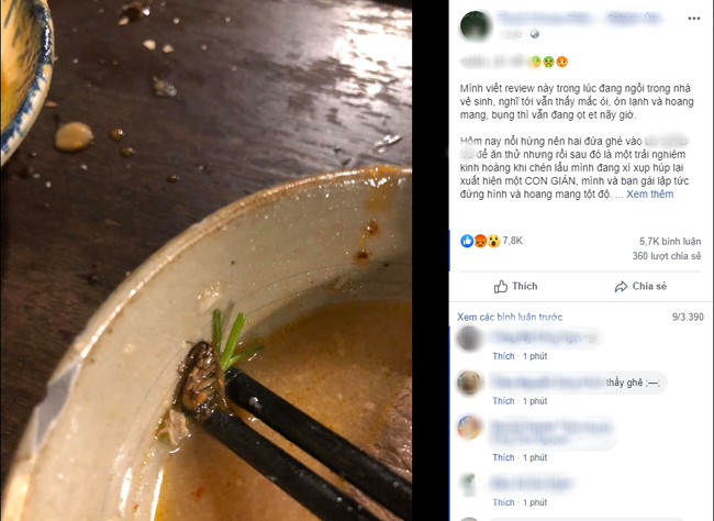 Đang xì xụp húp nước lẩu, chàng trai kinh hoàng phát hiện con gián nằm chình ình trong nồi từ bao giờ và phản ứng rất nhanh của quản lý-1