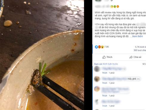 Cho phép thả 100 con gián vào nhà, gia chủ nhận 2.000 USD-2