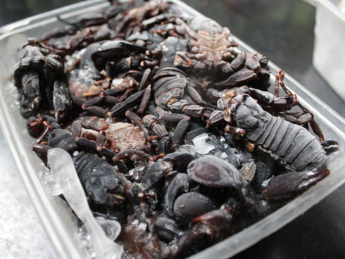 Món lạ hao cơm tốn bia, đầu tháng ế ẩm, sau rằm nườm nượp khách-4