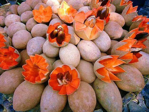 Quả táo đen xì đen xịt độc, lạ, ngon, bổ giá gần nửa triệu mỗi quả-10