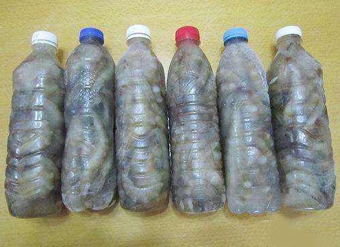 Thêm 1 bước này, tôm bảo quản trong tủ lạnh tươi như mới lại không bị mùi-2