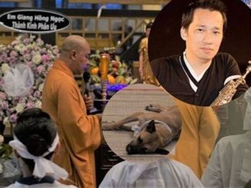 Chú chó của nghệ sĩ Xuân Hiếu bỏ ăn, nằm phục bên linh cữu chủ