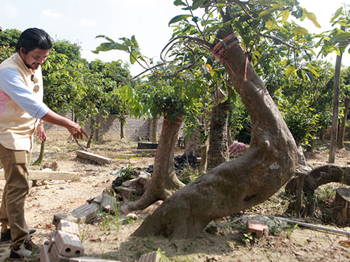 Ngắm khủng long bạo chúa, vũ nữ chân dài ở hội thi đại lão mai-12