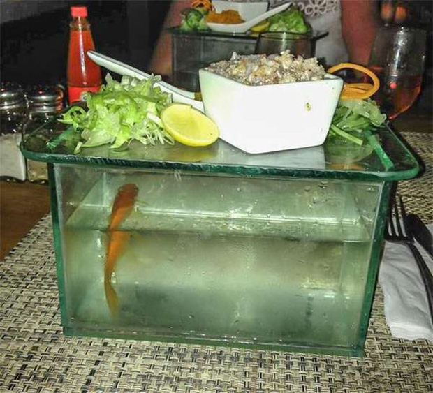 Những pha trình bày món ăn như… muốn đuổi khách đi của các nhà hàng dị” nhất thế giới, cẩn thận xem xong nghẹn”!-8